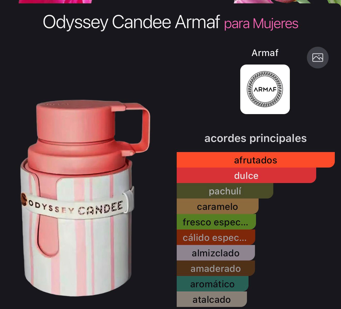 Armaf Odyssey Candee W EDP 3.4 Oz